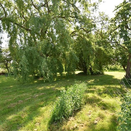 Spacious Holiday Home In Hornstorf With Trampoline מראה חיצוני תמונה