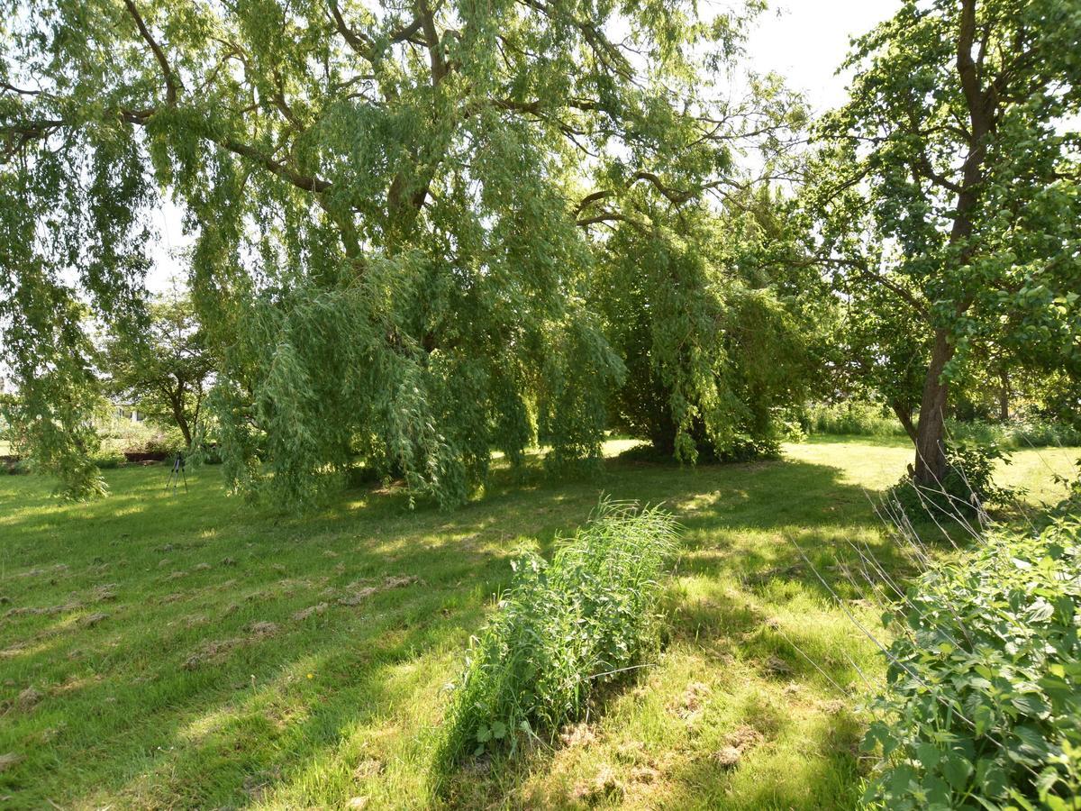 Spacious Holiday Home In Hornstorf With Trampoline מראה חיצוני תמונה